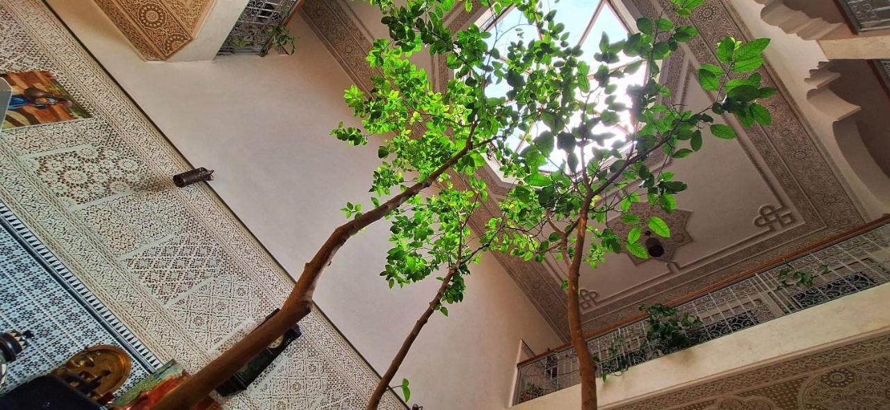 Riad 111 & Spa Marakeş Dış mekan fotoğraf